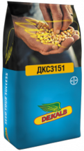 Семена кукурузы ДКС3151
