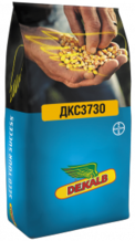 Семена кукурузы ДКС3730
