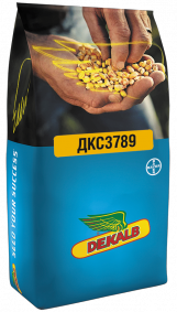Семена кукурузы ДКС3789