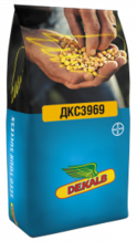 Семена кукурузы ДКС3969