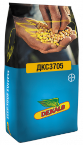 Семена кукурузы ДКС3705