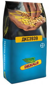 Семена кукурузы ДКС3939
