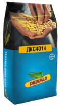 Семена кукурузы ДКС4014