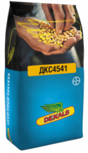 Семена кукурузы ДКС4541