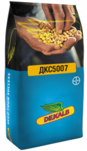 Семена кукурузы ДКС5007