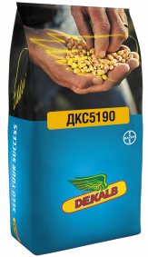 Семена кукурузы ДКС5190